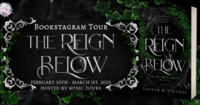 Bookstagram Tour Sign Ups: The Reign Below by Sierrah M. Strange [**NOW CLOSED**]