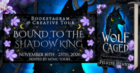 Bookstagram & Creative Tour Sign Ups: Bound to the Shadow King by Felicity Heaton